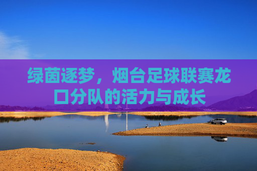 绿茵逐梦,烟台足球联赛龙口分队的活力与成长