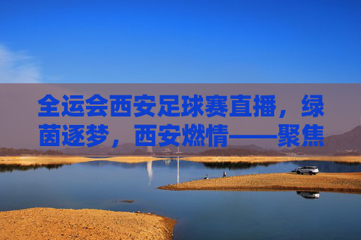 全运会西安足球赛直播，绿茵逐梦，西安燃情——聚焦2024年全运会男子足球U20组别赛事