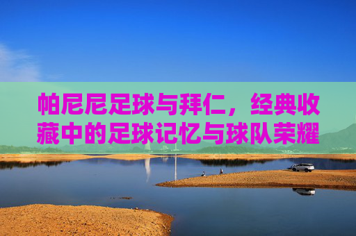 帕尼尼足球与拜仁,经典收藏中的足球记忆与球队荣耀