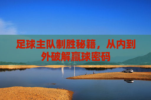 足球主队制胜秘籍,从内到外破解赢球密码