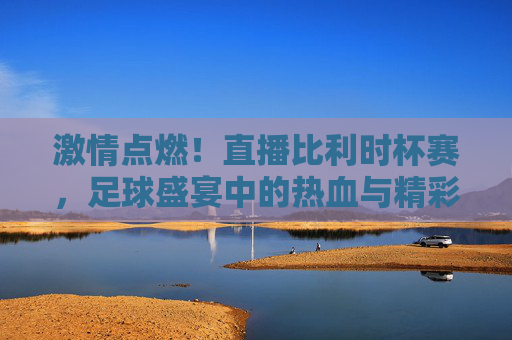 激情点燃！直播比利时杯赛，足球盛宴中的热血与精彩瞬间，激情点燃！直播比利时杯赛，足球盛宴中的热血与精彩瞬间