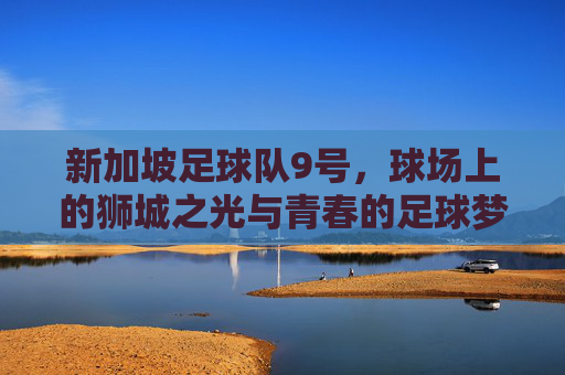 新加坡足球队9号，球场上的狮城之光与青春的足球梦，新加坡足球队9号，球场上的狮城之光与青春的足球梦