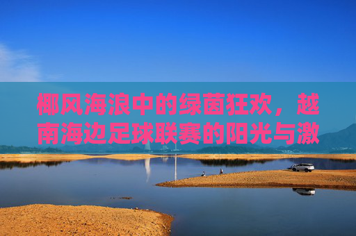 椰风海浪中的绿茵狂欢,越南海边足球联赛的阳光与激情