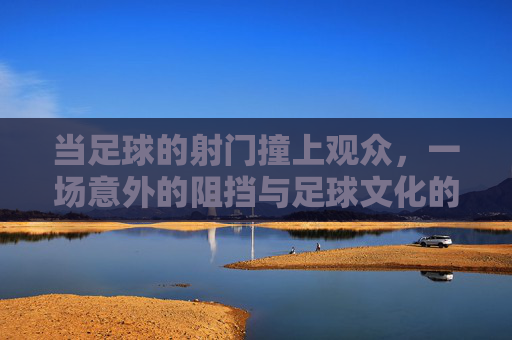 当足球的射门撞上观众,一场意外的阻挡与足球文化的反思,足球射门撞上观众,一场意外的阻挡与足球文化的反思