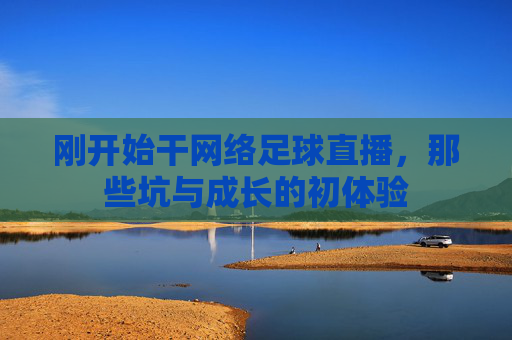 刚开始干网络足球直播,那些坑与成长的初体验