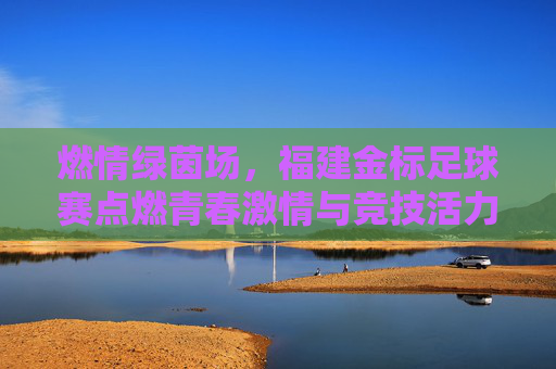 燃情绿茵场，福建金标足球赛点燃青春激情与竞技活力，燃情绿茵场，福建金标足球赛点燃青春激情与竞技活力