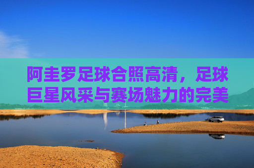 阿圭罗足球合照高清,足球巨星风采与赛场魅力的完美定格