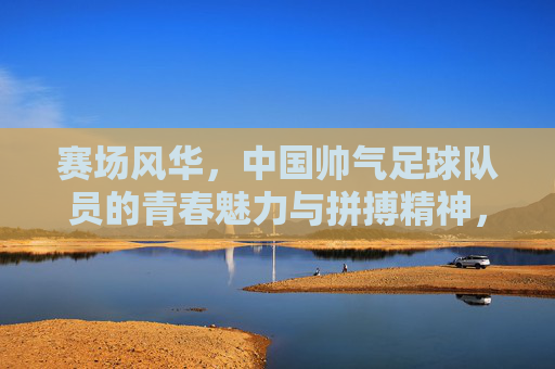 赛场风华，中国帅气足球队员的青春魅力与拼搏精神，赛场风华，中国帅气足球队员的青春魅力与拼搏精神