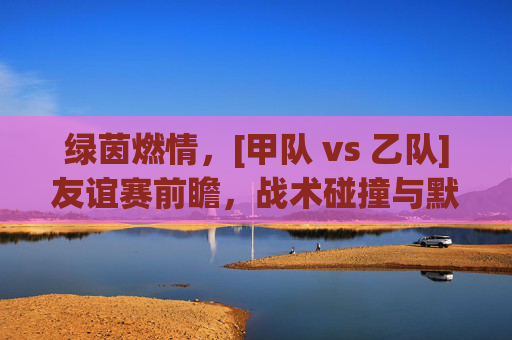 绿茵燃情，[甲队 vs 乙队]友谊赛前瞻，战术碰撞与默契生辉