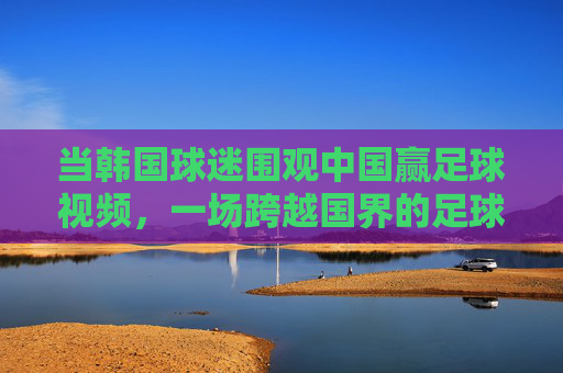 当韩国球迷围观中国赢足球视频,一场跨越国界的足球情感共鸣,韩国球迷围观中国足球胜利,一场跨越国界的情感共鸣