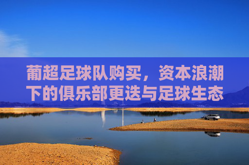 葡超足球队购买,资本浪潮下的俱乐部更迭与足球生态重构,葡超足球队购买,资本浪潮下的俱乐部更迭与足球生态重构