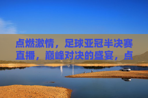 点燃激情,足球亚冠半决赛直播,巅峰对决的盛宴,点燃激情,足球亚冠半决赛直播,巅峰对决的盛宴