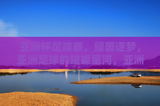 亚洲杯足球赛，绿茵逐梦，亚洲足球的璀璨星河，亚洲杯足球赛，绿茵逐梦，亚洲足球的璀璨星河