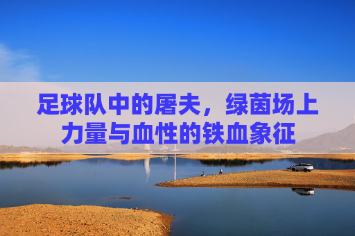 足球队中的屠夫,绿茵场上力量与血性的铁血象征