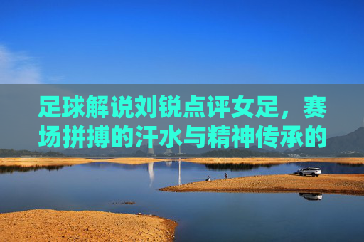 足球解说刘锐点评女足,赛场拼搏的汗水与精神传承的力量
