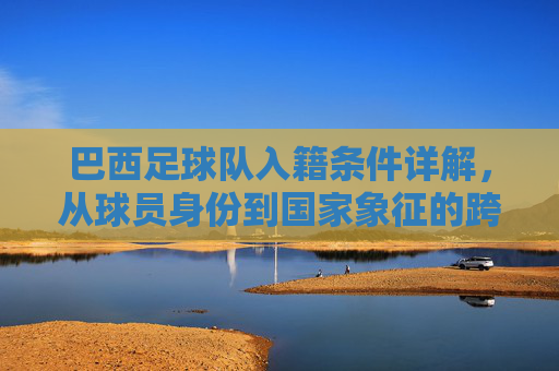 巴西足球队入籍条件详解，从球员身份到国家象征的跨越——解析入籍政策与实际操作