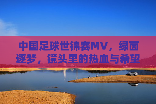 中国足球世锦赛MV,绿茵逐梦,镜头里的热血与希望