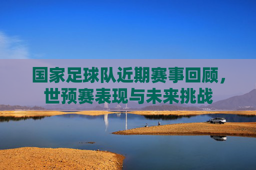 国家足球队近期赛事回顾，世预赛表现与未来挑战