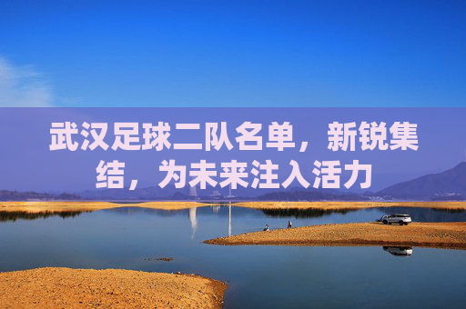 武汉足球二队名单,新锐集结,为未来注入活力