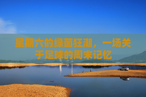 星期六的绿茵狂潮，一场关于足球的周末记忆