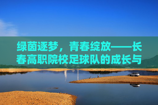 绿茵逐梦,青春绽放——长春高职院校足球队的成长与风采,绿茵逐梦,青春绽放——长春高职院校足球队的成长与风采