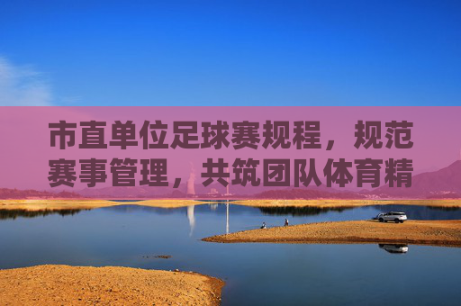 市直单位足球赛规程,规范赛事管理,共筑团队体育精神