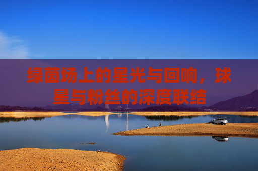 绿茵场上的星光与回响，球星与粉丝的深度联结