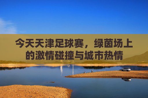 今天天津足球赛,绿茵场上的激情碰撞与城市热情