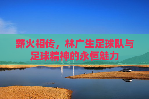 薪火相传,林广生足球队与足球精神的永恒魅力