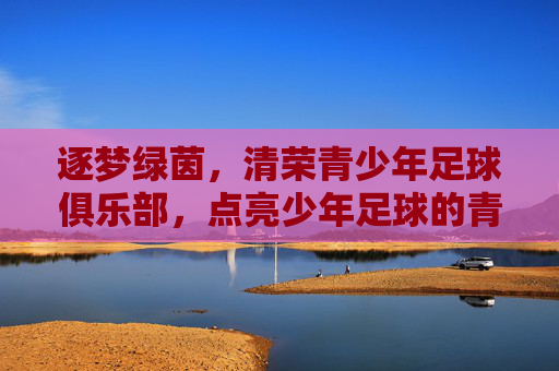 逐梦绿茵，清荣青少年足球俱乐部，点亮少年足球的青春之光，逐梦绿茵，清荣青少年足球俱乐部点亮少年足球的青春之光
