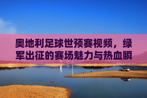 奥地利足球世预赛视频,绿军出征的赛场魅力与热血瞬间