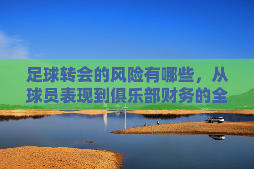 足球转会的风险有哪些，从球员表现到俱乐部财务的全方位审视，足球转会风险全解析，从球员表现到俱乐部财务的全方位审视