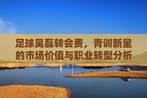 足球吴磊转会费,青训新星的市场价值与职业转型分析,足球吴磊转会费,青训新星市场价值与职业转型分析