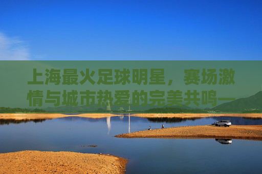 上海最火足球明星，赛场激情与城市热爱的完美共鸣——记魔都射手胡尔克及其影响力