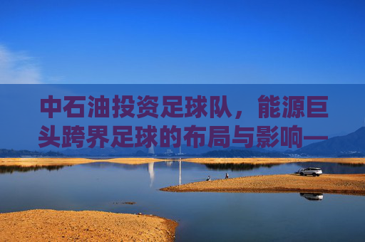 中石油投资足球队,能源巨头跨界足球的布局与影响——从商业战略到品牌价值的双重探索