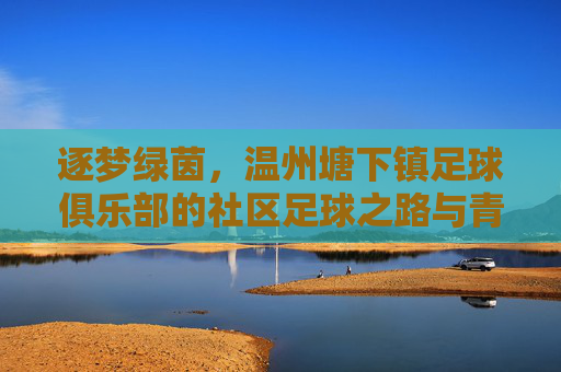 逐梦绿茵，温州塘下镇足球俱乐部的社区足球之路与青春绽放