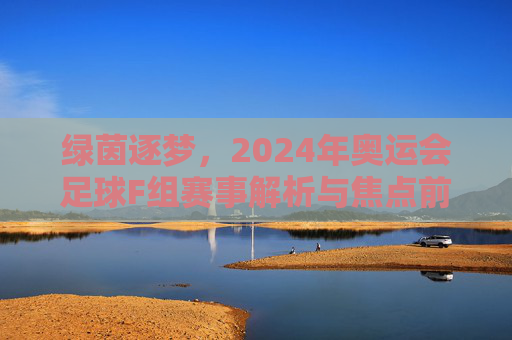 绿茵逐梦,2024年奥运会足球F组赛事解析与焦点前瞻