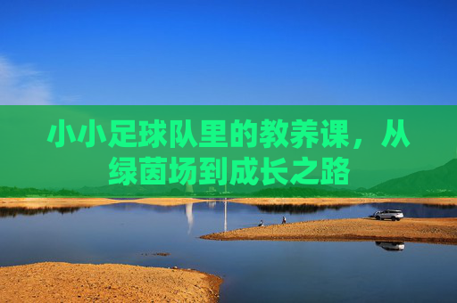 小小足球队里的教养课,从绿茵场到成长之路