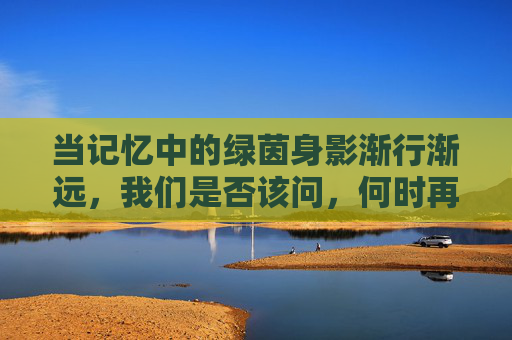 当记忆中的绿茵身影渐行渐远,我们是否该问,何时再有江苏足球队?