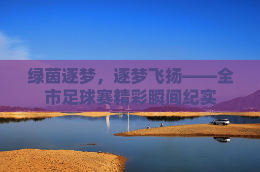 绿茵逐梦，逐梦飞扬——全市足球赛精彩瞬间纪实