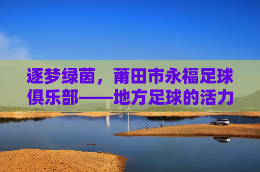 逐梦绿茵，莆田市永福足球俱乐部——地方足球的活力源泉与希望之光