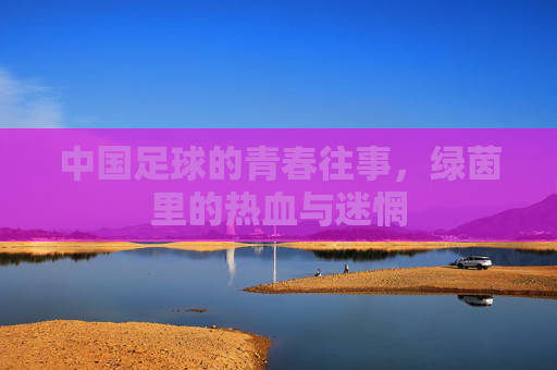 中国足球的青春往事，绿茵里的热血与迷惘