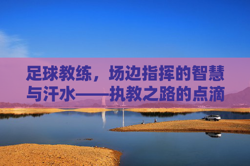 足球教练,场边指挥的智慧与汗水——执教之路的点滴感悟(普通话版)足球教练,场边指挥的智慧与汗水——执教之路的点滴感悟(普通话版)