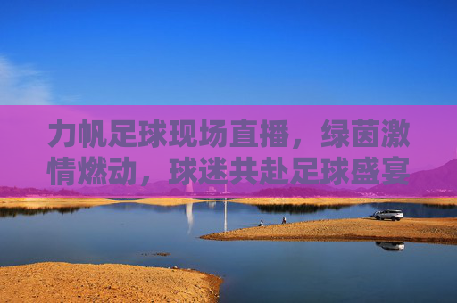 力帆足球现场直播，绿茵激情燃动，球迷共赴足球盛宴