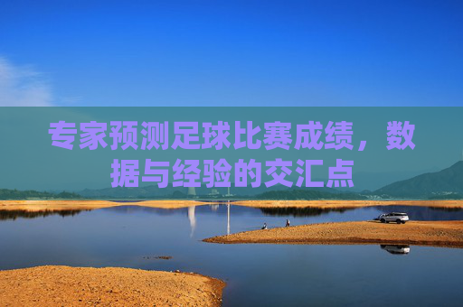 专家预测足球比赛成绩，数据与经验的交汇点