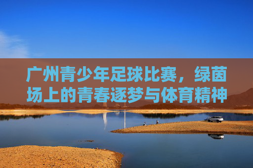 广州青少年足球比赛,绿茵场上的青春逐梦与体育精神的传承