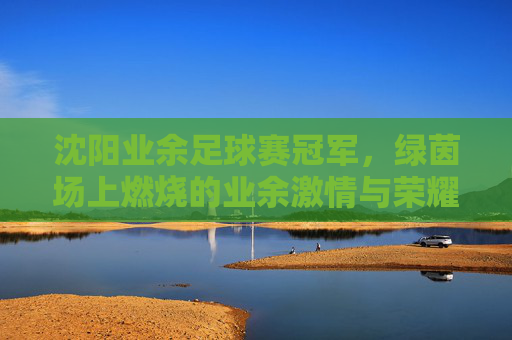 沈阳业余足球赛冠军,绿茵场上燃烧的业余激情与荣耀,沈阳业余足球赛冠军,绿茵场上燃烧的业余激情与荣耀