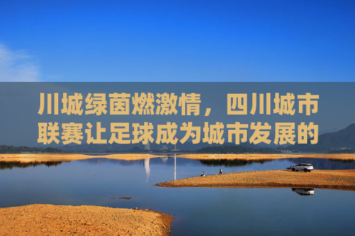 川城绿茵燃激情，四川城市联赛让足球成为城市发展的活力引擎