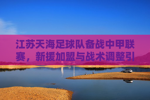 江苏天海足球队备战中甲联赛,新援加盟与战术调整引关注