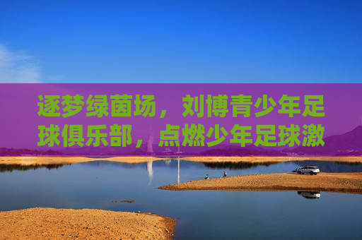 逐梦绿茵场，刘博青少年足球俱乐部，点燃少年足球激情，铸就未来足球之星